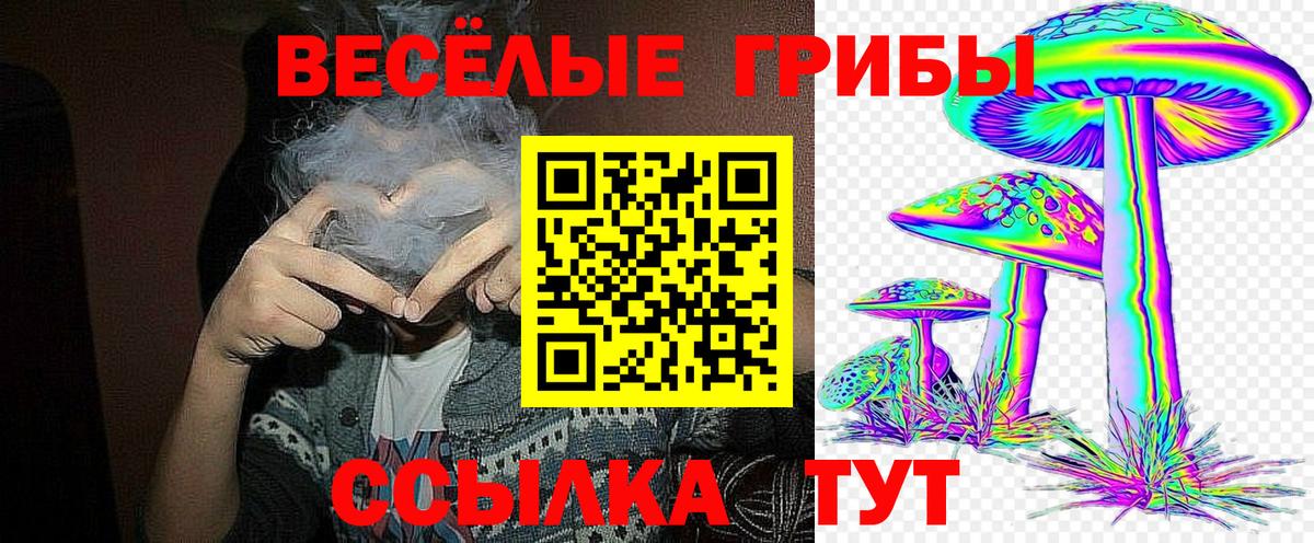 Галлюциногенные грибы ЛСД Азов