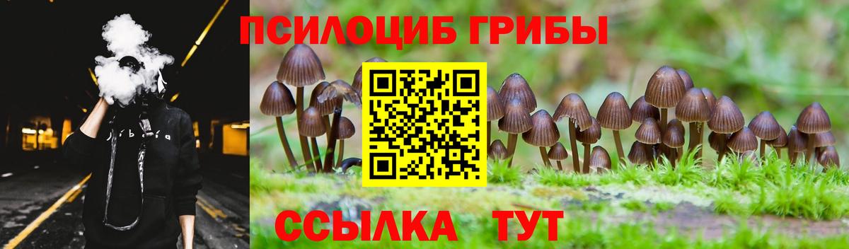Азов  Галлюциногенные грибы Psilocybine cubensis  где найти наркотики  Вход с VPN  Галлюциногенные грибы Psilocybine cubensis 